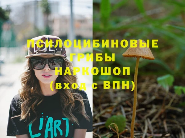 spice Дмитров