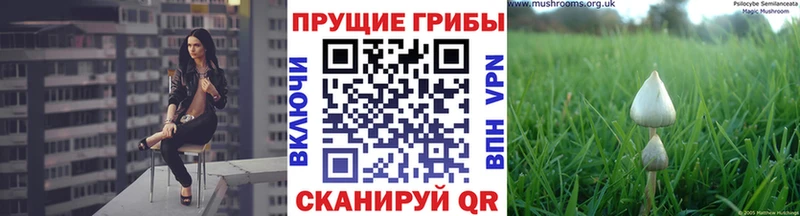 Купить где  Верхоянск  Галлюциногенные грибы Magic Shrooms 