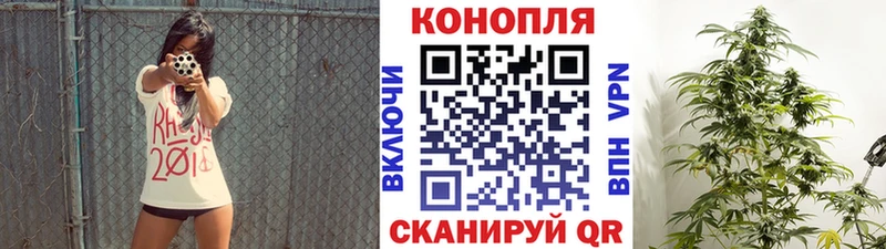 Бошки Шишки ГИДРОПОН  Купить закладки  Верхоянск 